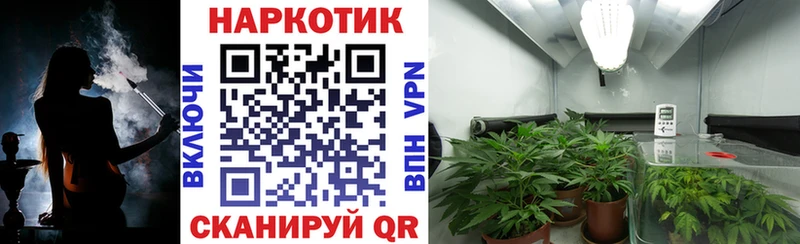Купить закладку ГАШИШ  Галлюциногенные грибы  Мефедрон  Амфетамин  Каннабис  КОКАИН  Всеволожск