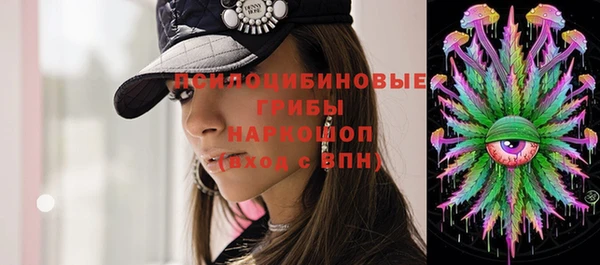 крисы Володарск