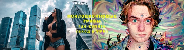 крисы Володарск